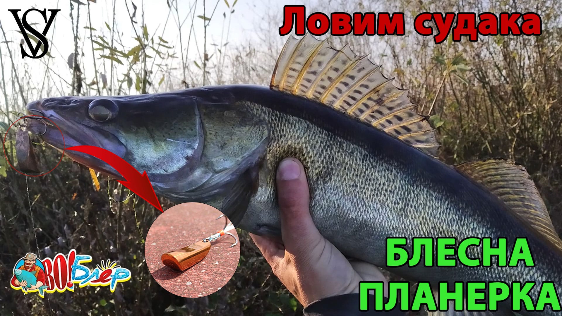 Łyżka do planowania. Łowienie walleye